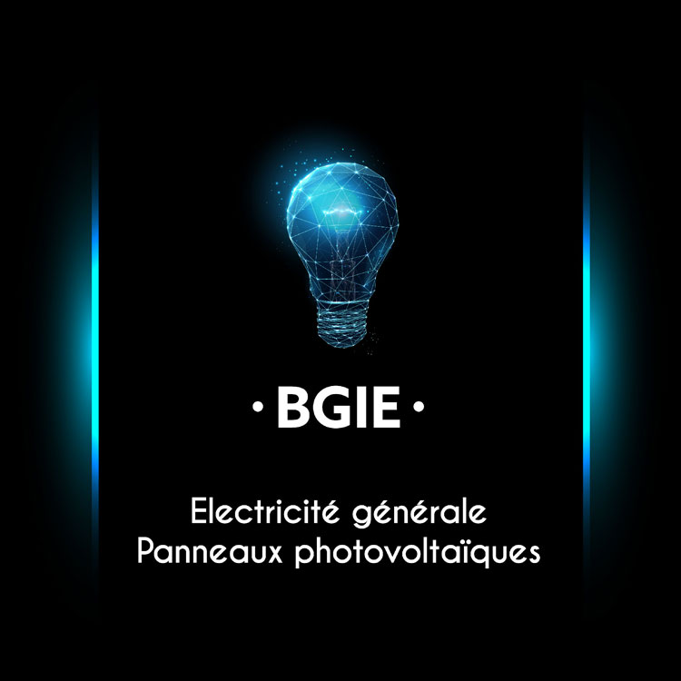 BGIE - Electricité générale - Panneaux photovoltaïques